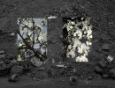 n/a