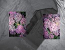 n/a